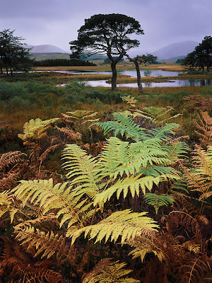 Loch Tulla