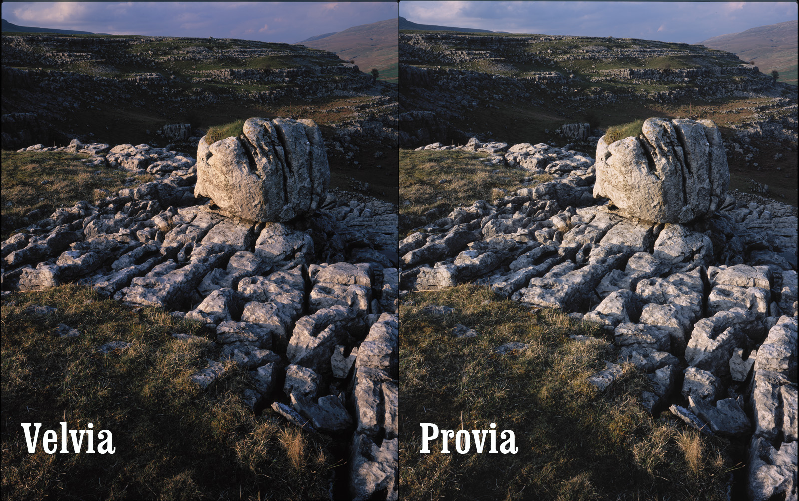 fuji provia