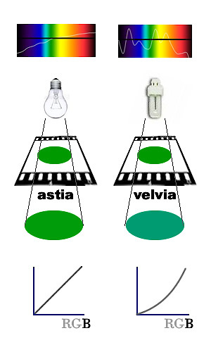 system asset